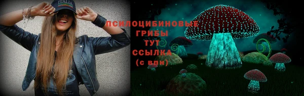 Альфа ПВП Майский