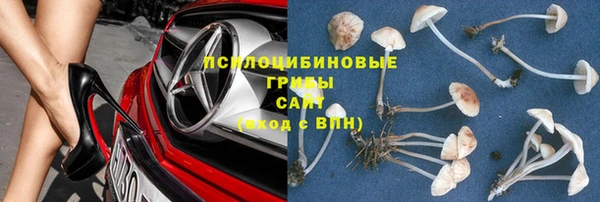 Альфа ПВП Майский
